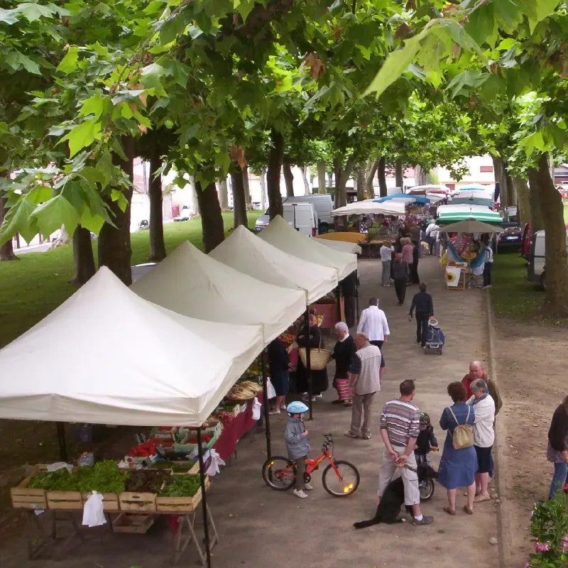 Les marchés locaux près de Gabarret